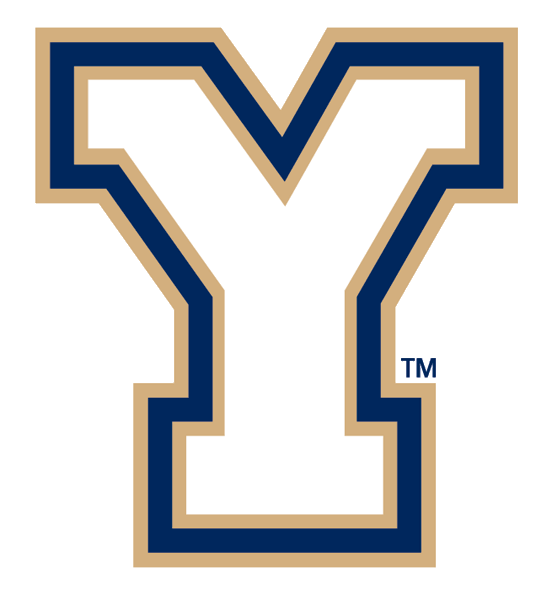 Brigham Young Cougars 1999-2004 Alternate Logo v5 DIY iron on transfer (heat transfer)